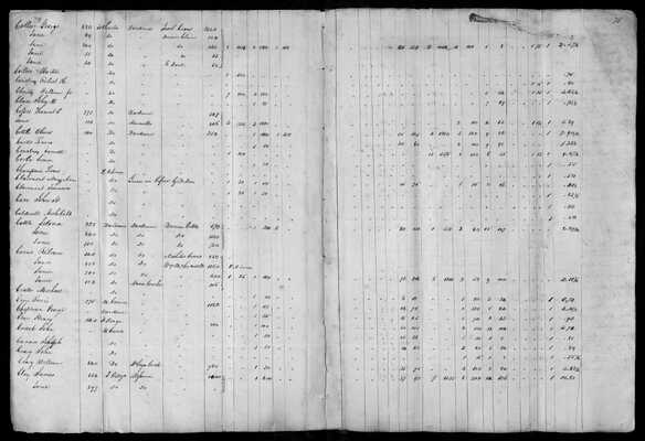 MHS_Taxes_V28_St Charles_1824_0074